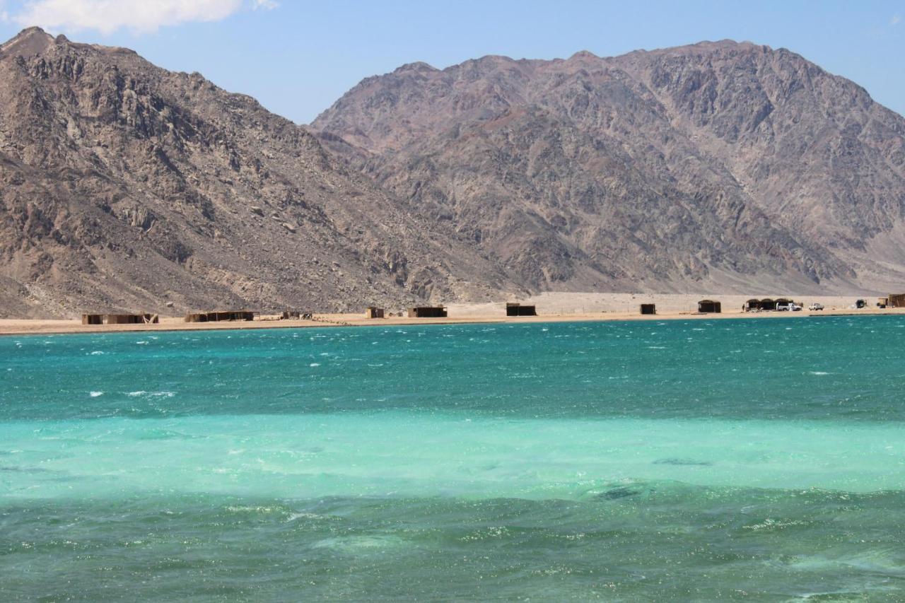 بلو بيتش كلوب دهب المظهر الخارجي الصورة
